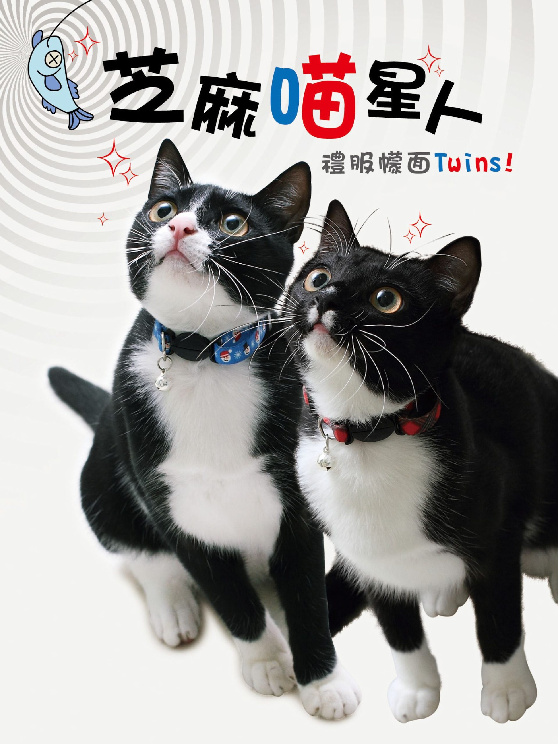 芝麻喵星人——禮服幪面Twins!
